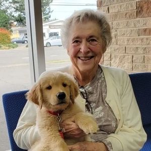 Meet your Posher, Barbara